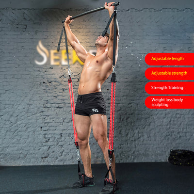 Body Workout Trainer with Resistance Bands